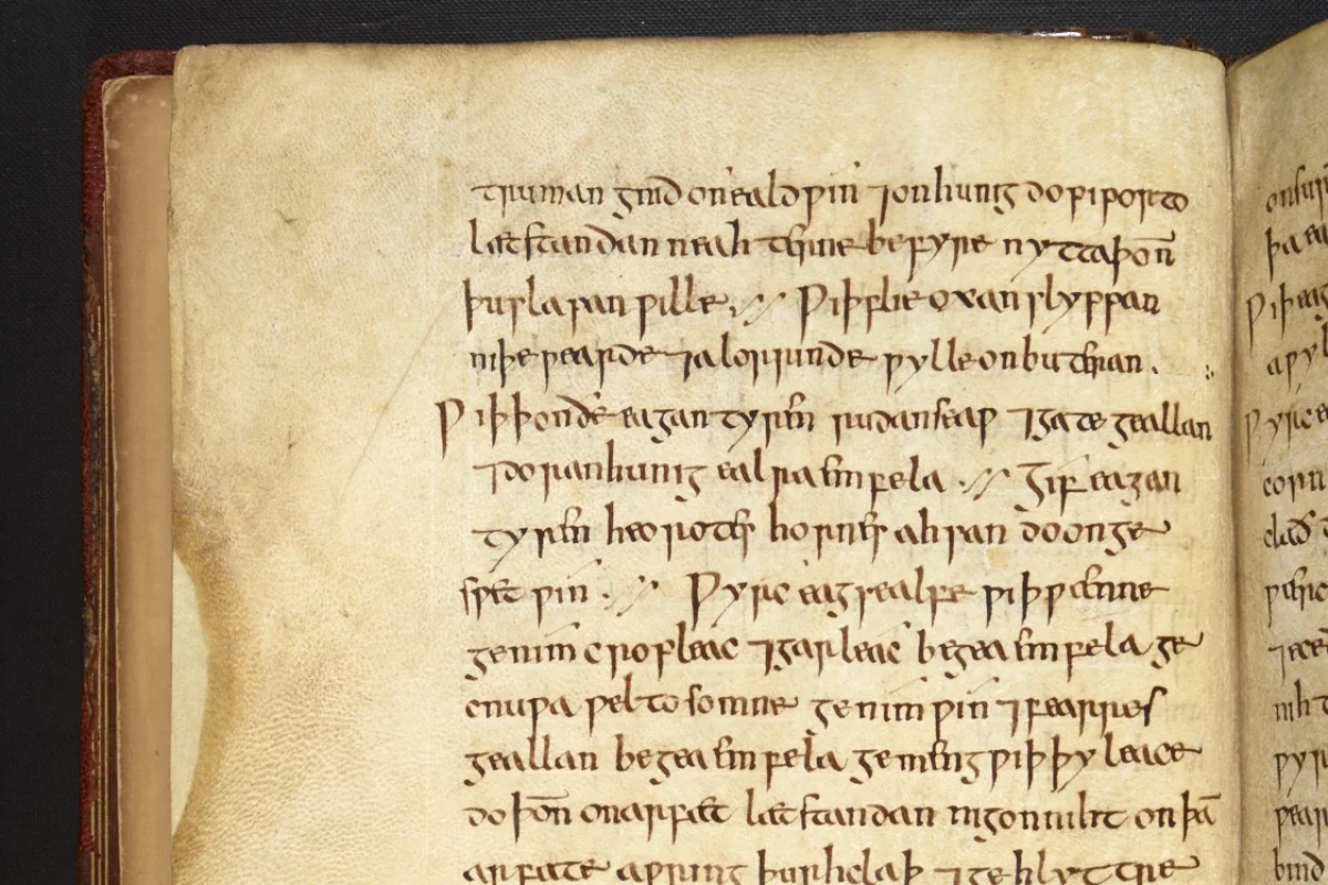 The recipe for Bald's eyesalve is here if you can read Old English