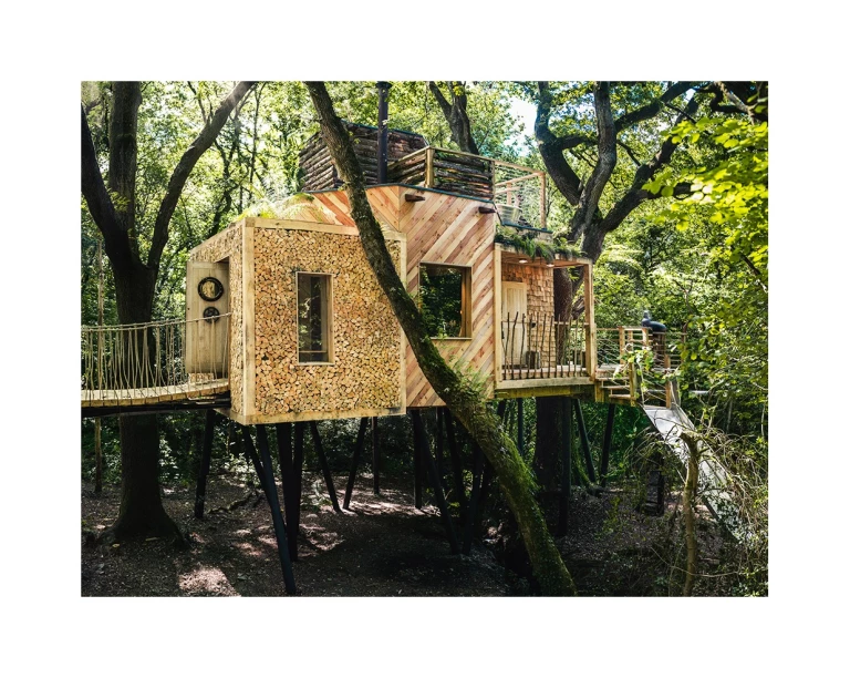 Luxury treehouse built for fun in the forest