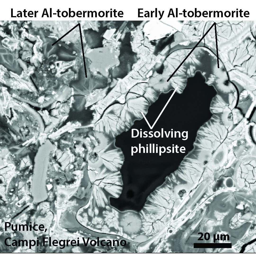 This scanning electron microscope image shows how Al-tobermorite crystals form in volcanic ash, using a similar principle to how the Roman concrete gets its added strength