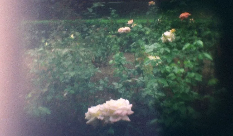 Photographs taken using the SLO camera aren't exactly detailed, but have what the designer calls a "spooky, vignetted effect"