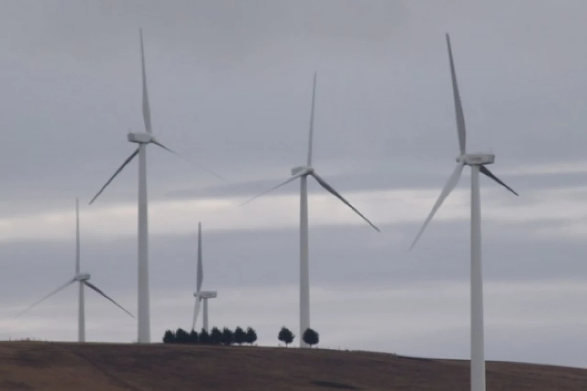 Wind farm project