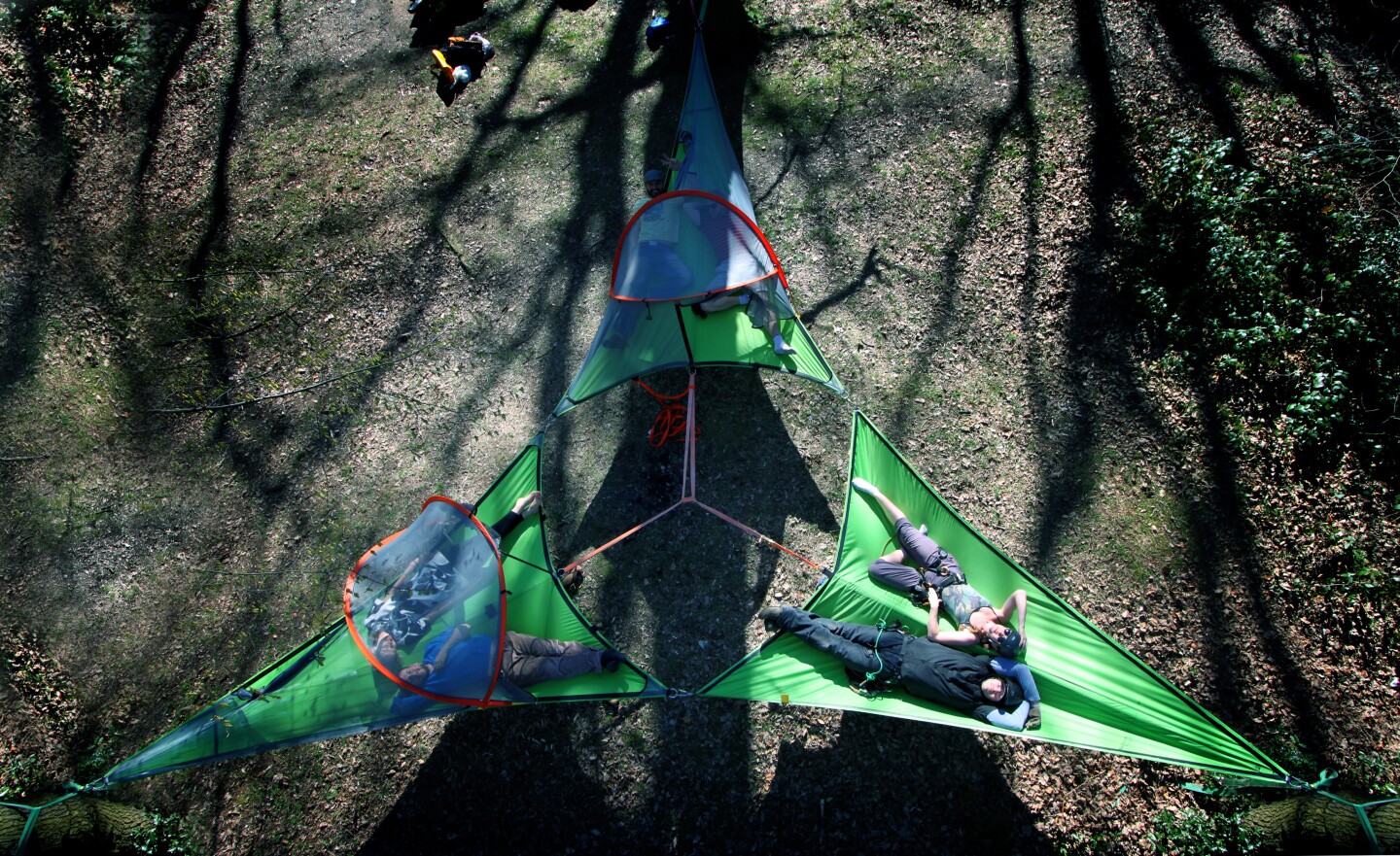 Tentsile unveils its smallest, lightest, and most affordable tree tent