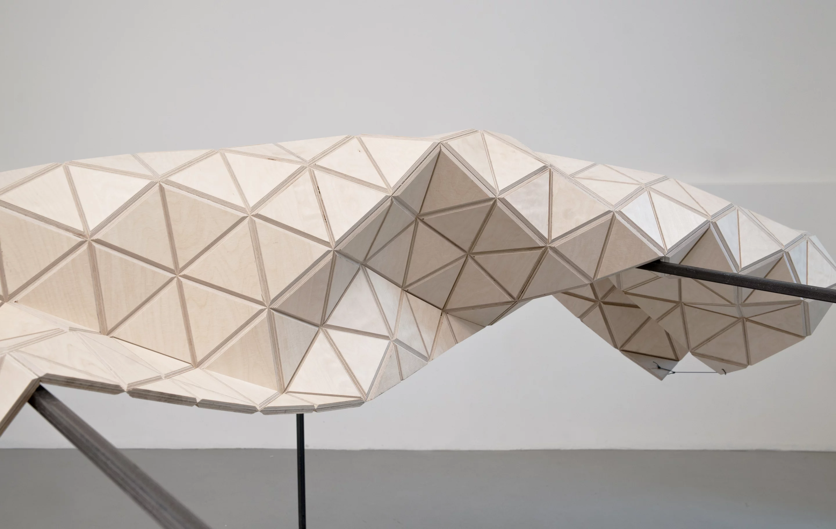 Users can specify triangle size, geometry and density, as well as the thickness of wood ranging between 4 and 30 mm (Image: MammaFotogramma)