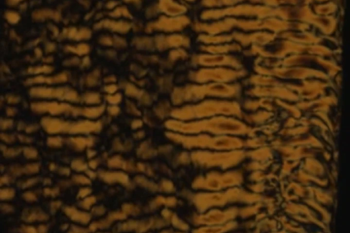 Patterns created by bacteria swimming through the living liquid crystal
