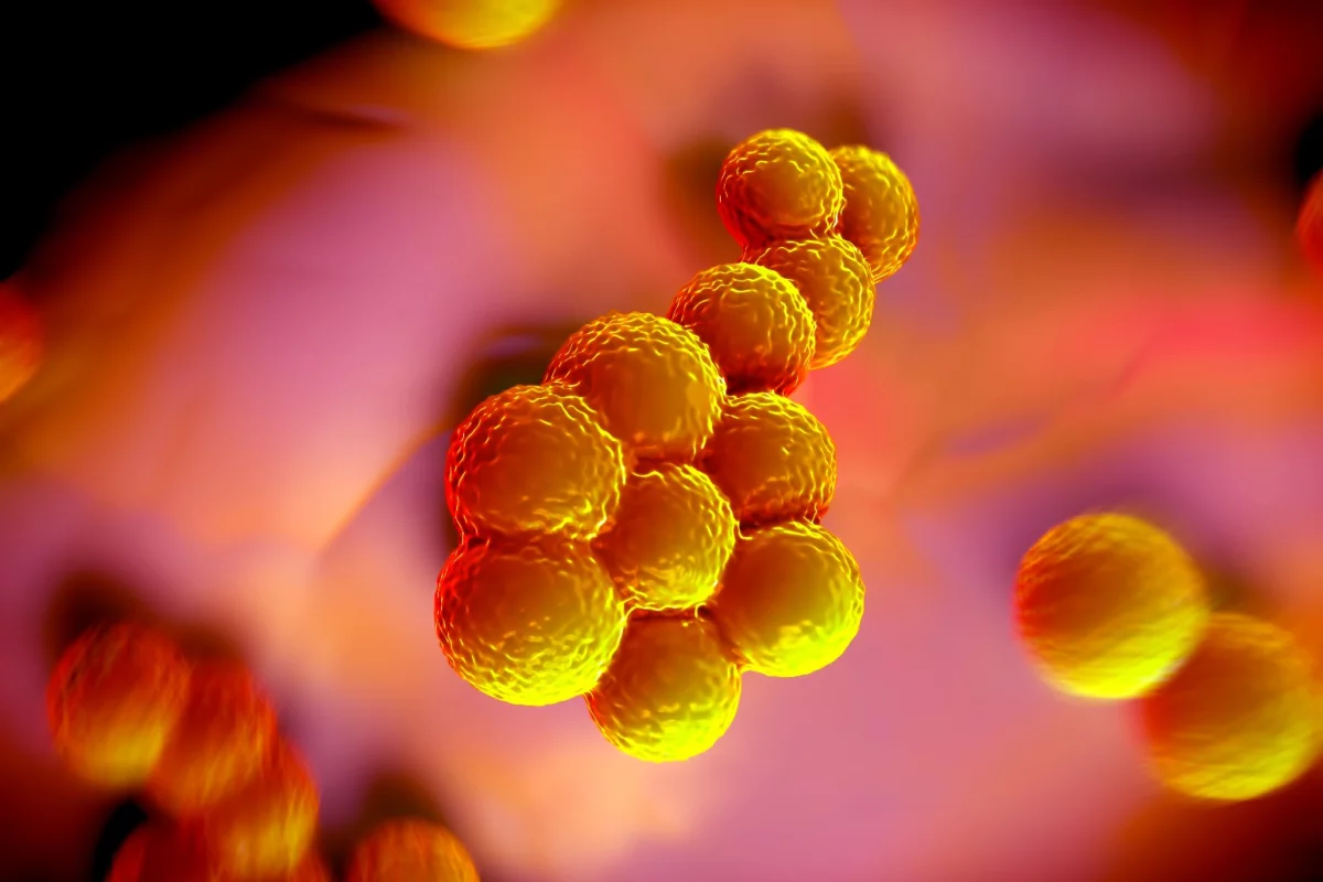 A review on antimicrobial resistance warns that superbugs could kill 10 million people a year by 2050, but outlines ways we can prevent or lessen the threat