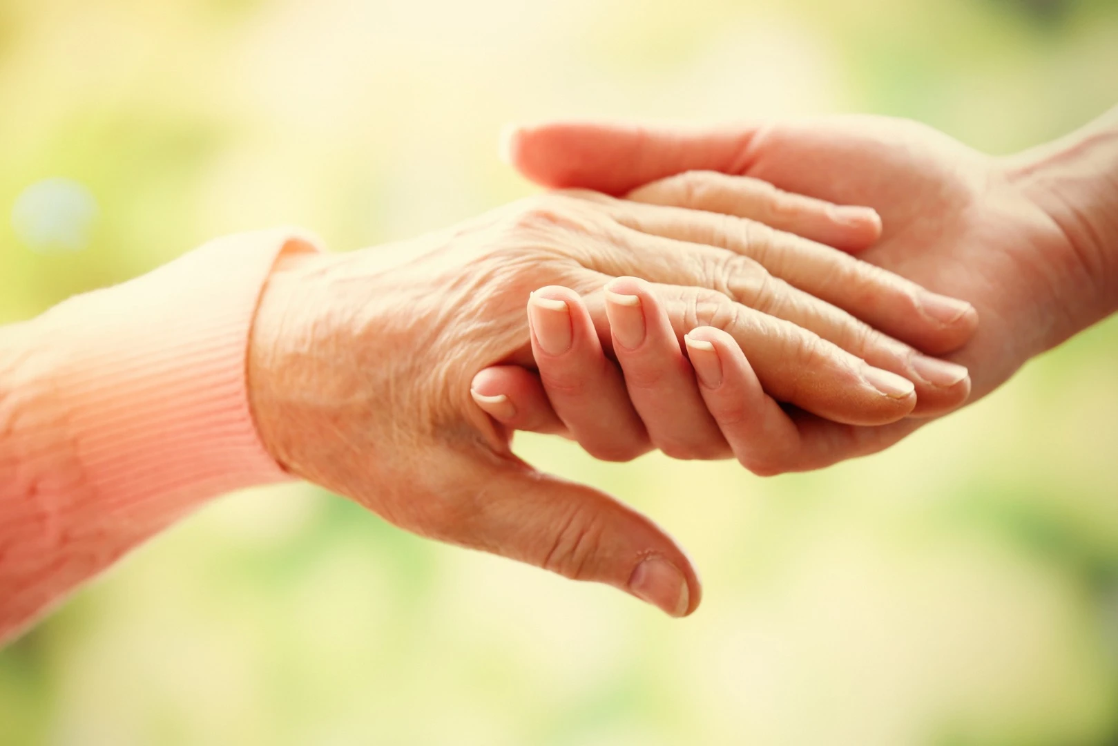 New research suggests improving the immune system's ability to remove damaged, senescent cells could enable new anti-aging therapies