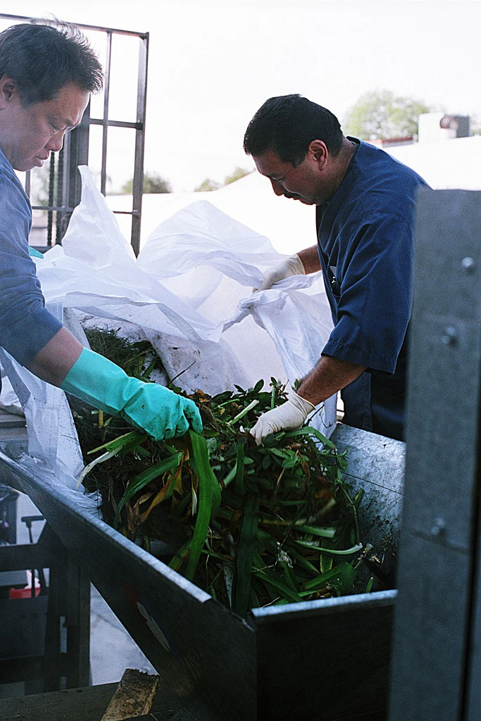 Organic waste being loaded into The Muncher's hopper (Image: Ecologico-Logic)