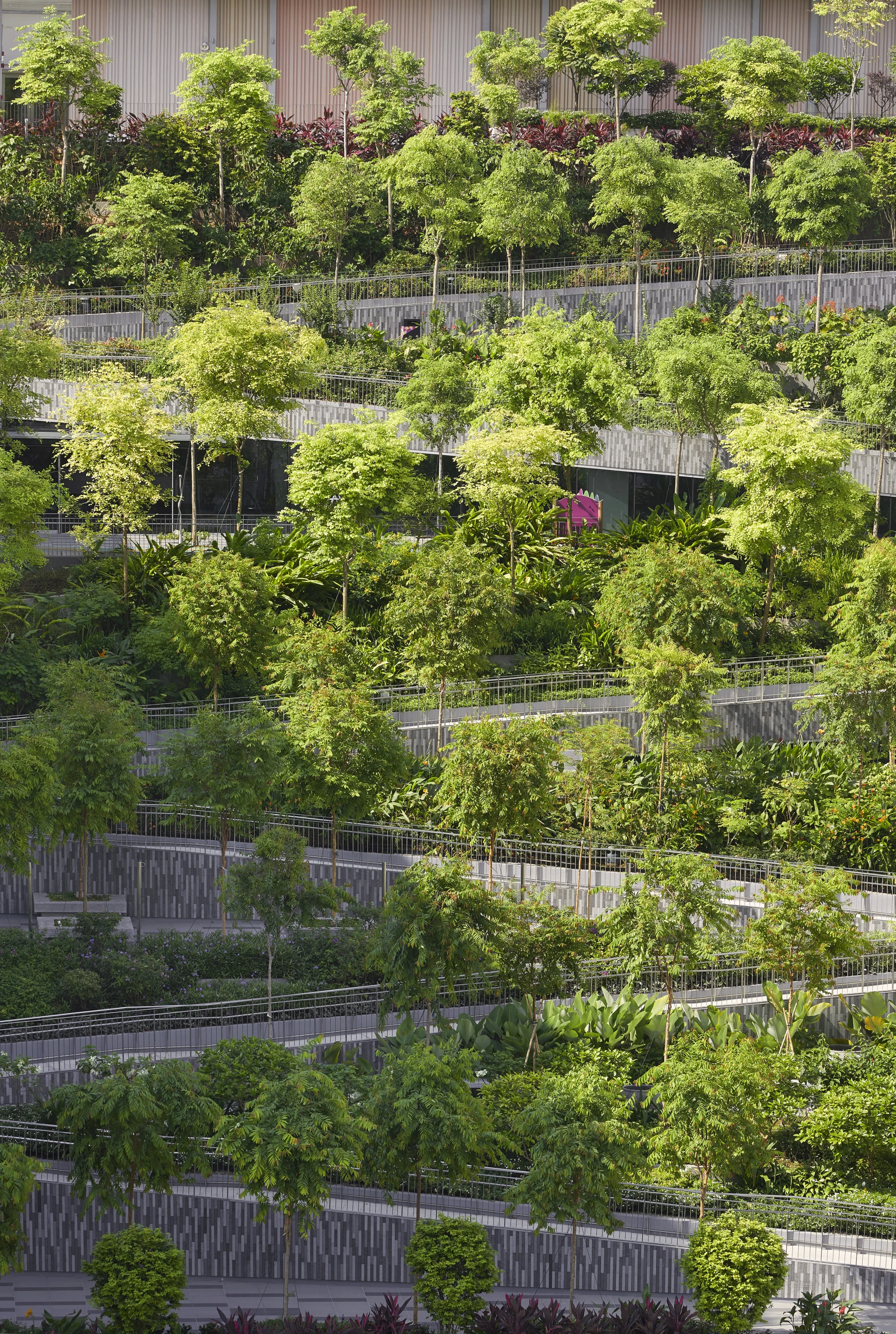 Oasis Terraces is centered around a series of stepped garden terraces