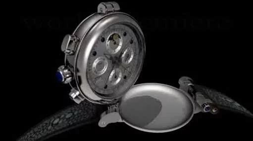 The Dubey & Schaldenbrand Spiral-verso VIP