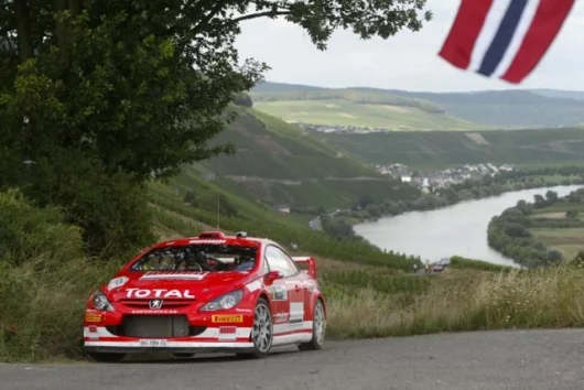 Markko Martin's fourth minimised the damage caused in the manufacturers points score by the Citroen 1-2