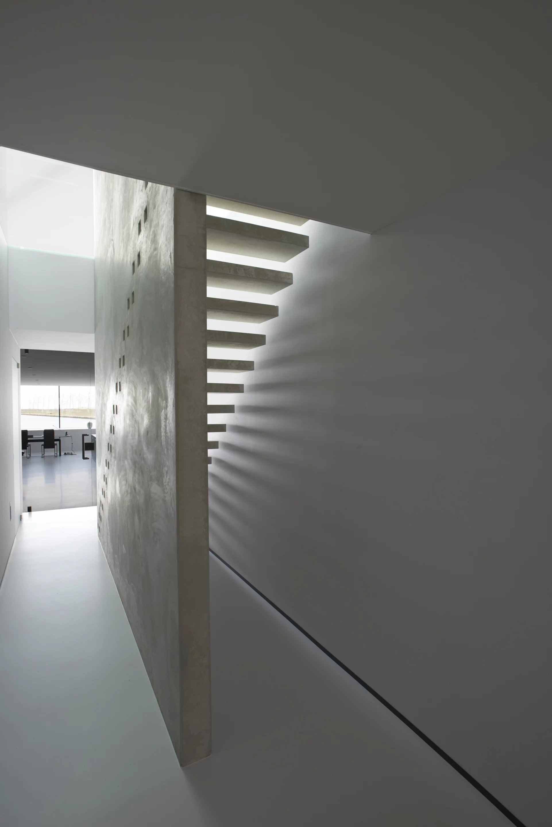 Villa Kogelhof is built upon a protected habitat for animals and plants (Photo: Jeroen Musch)