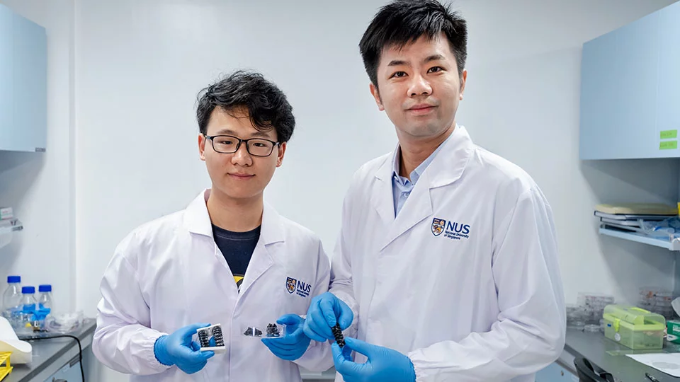 Asst. Prof. Chen Po-Yen (right) and doctoral student Yang Haitao, with samples of the material