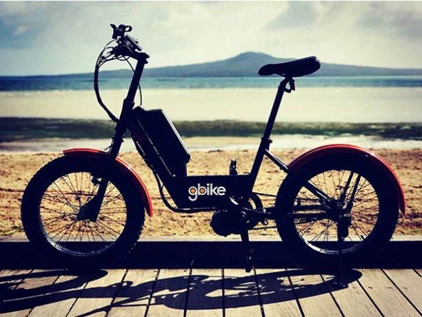 For those who like the gbike but don't like golf, an Urban model is available, which simply comes without the club carrier