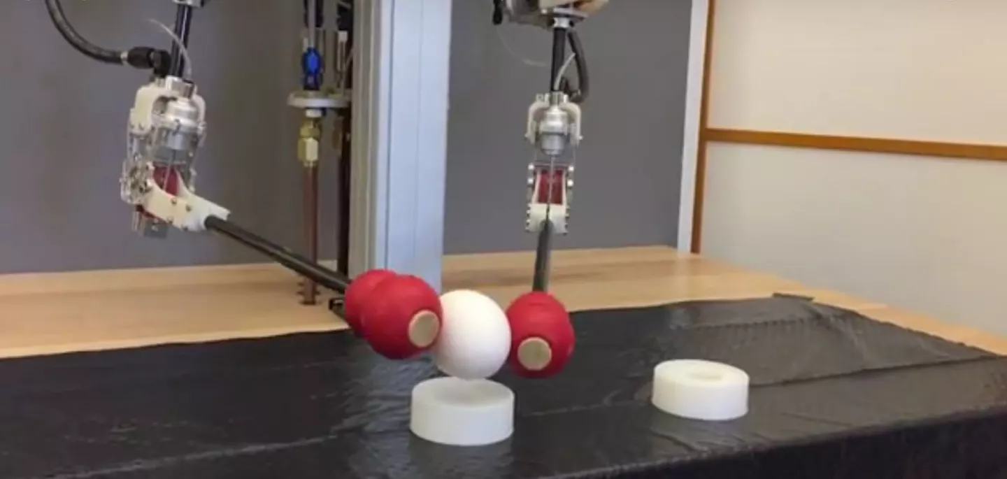 The hybrid robot picking up a raw egg