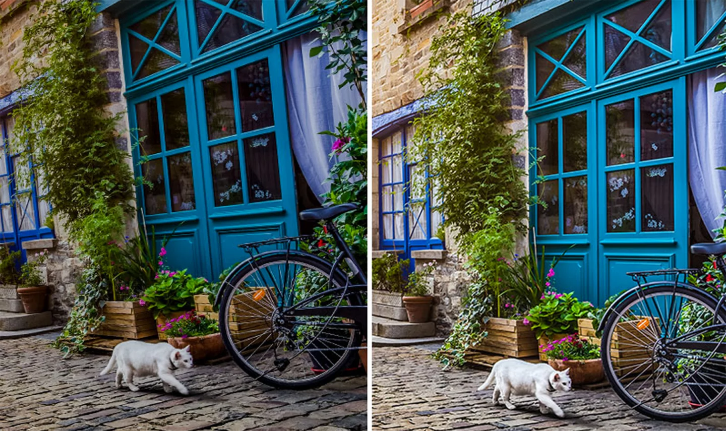 A before-and-after using PaintShop's quick tools