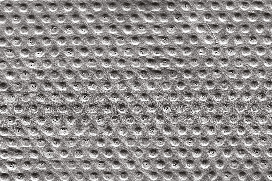A microscope image of the membrane's surface – each indentation has a diameter of 10 micrometers