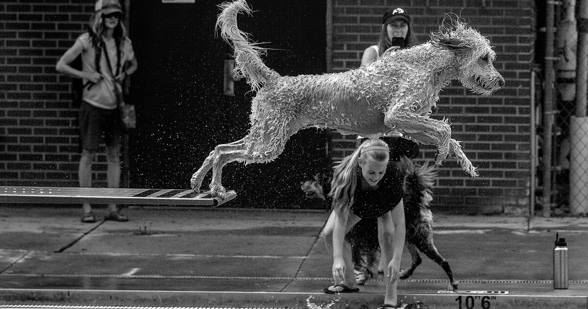 The Astonishing Winners Of The 2020 Sony World Photography Awards Urban 2022 Photography Awards