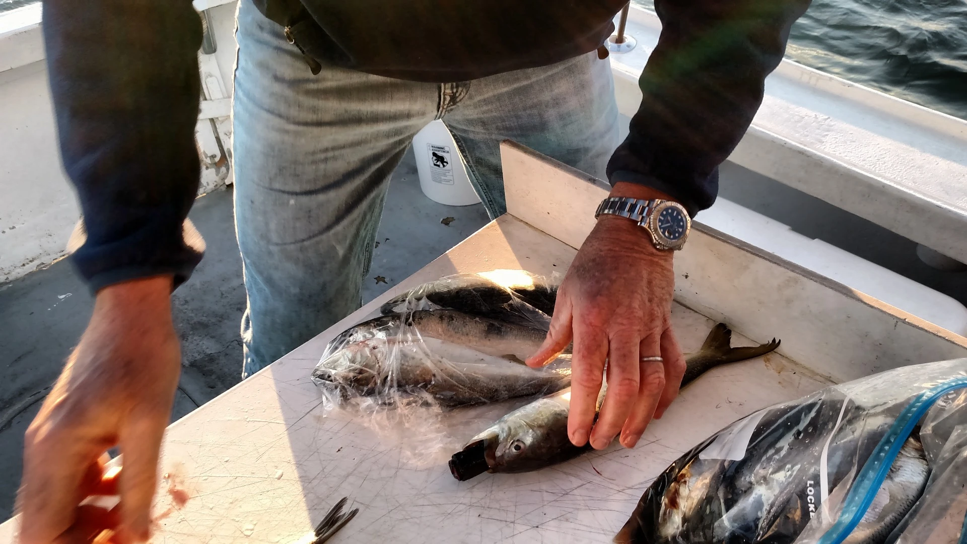 To use the Zombait, users start by shoving the waterproof device down the mouth of the selected bait fish
