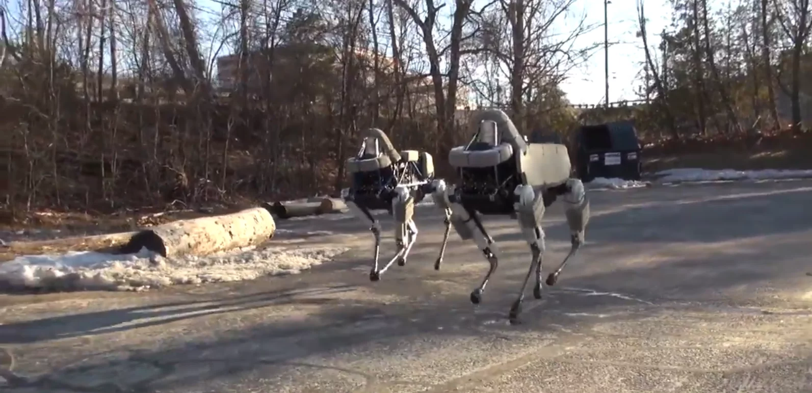 Two Spot robots operating together