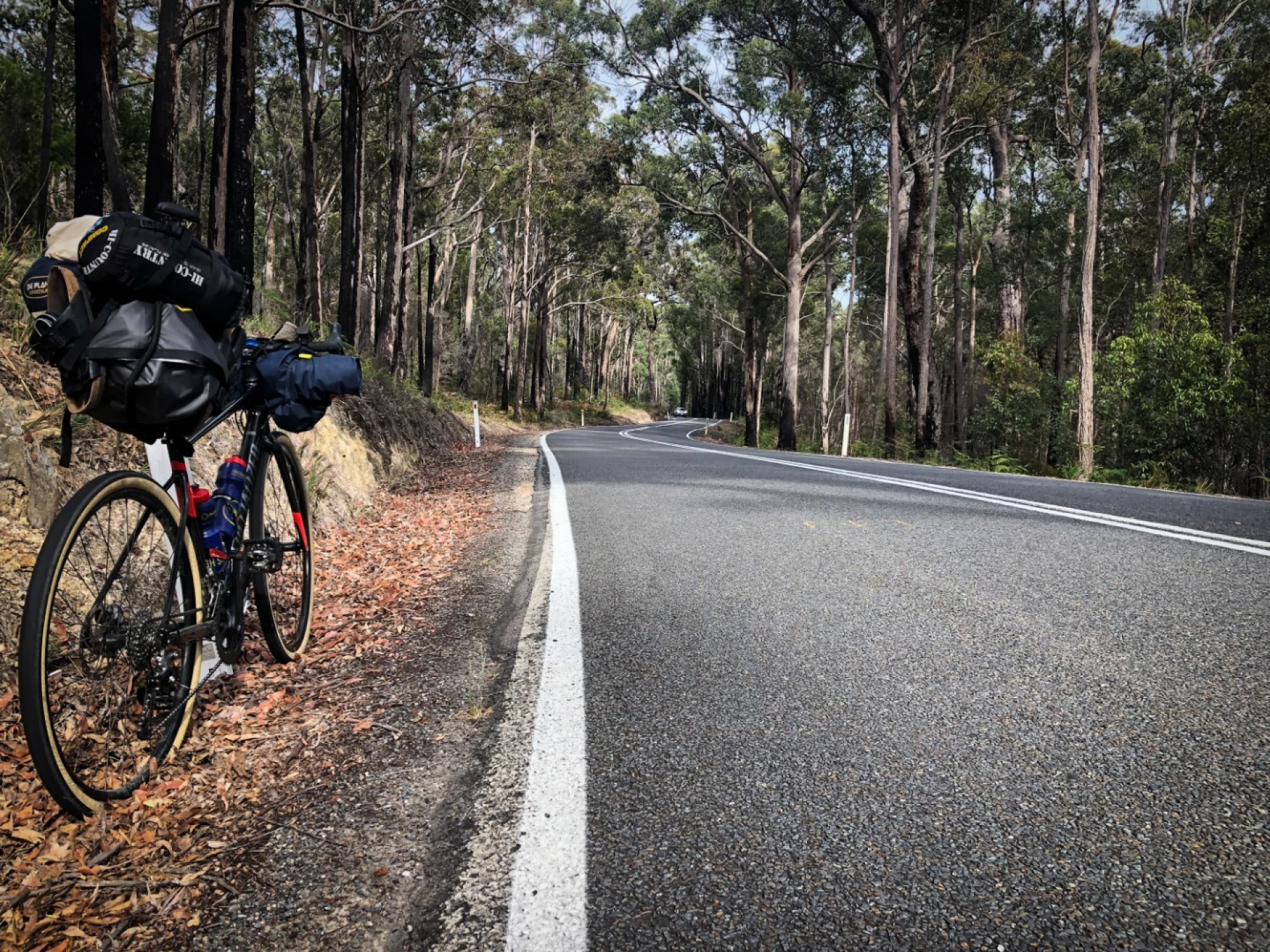 Bikepacking and bush-bashing through lush forest on Australia's ...