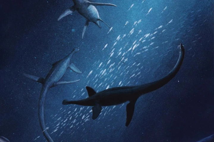 An artist's rendition of the new species of plesiosaur, dubbed Lagenanectes richterae