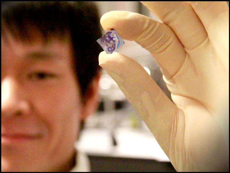 Koji Usami holding the semiconductor nanomembrane inside its holder