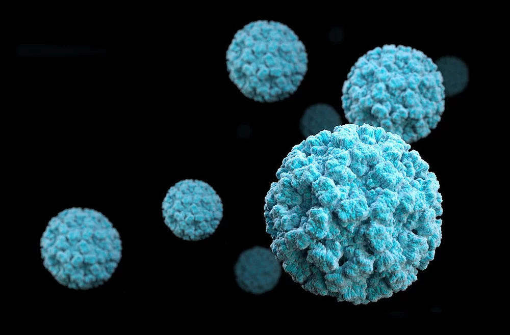 Norovirus is particularly deadly to some of the most vulnerable demographics of society