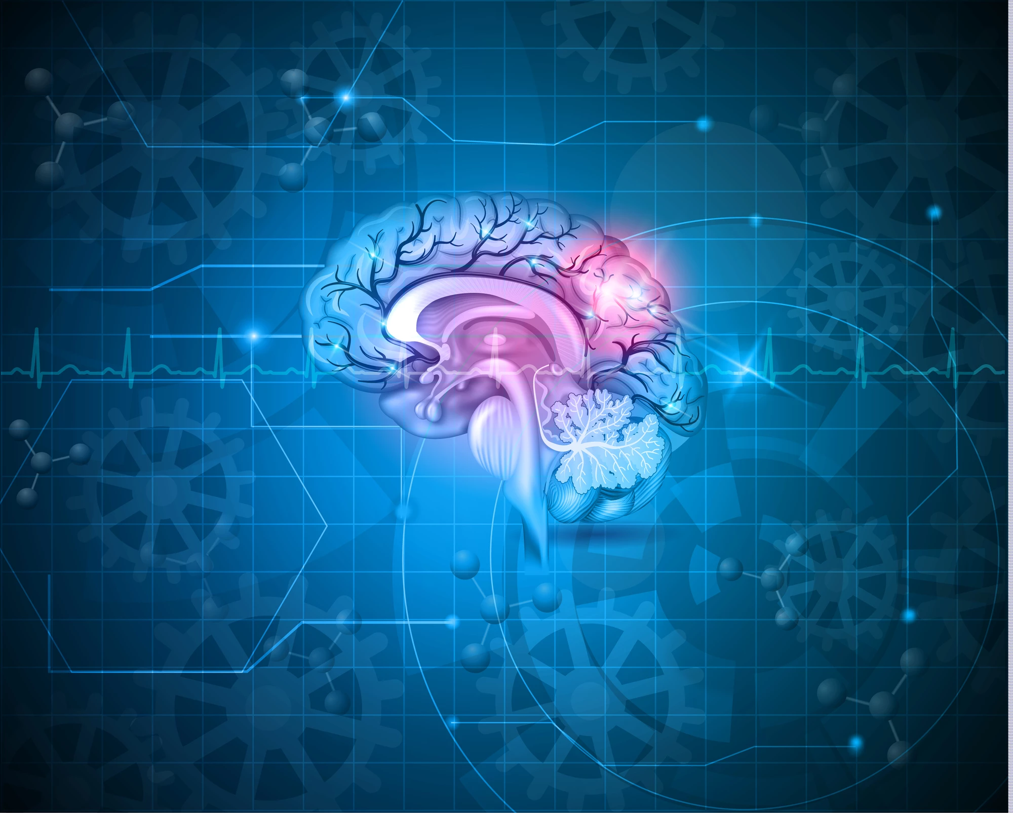 Novel findings point to new research pathways to treat neurodegenerative disease such as Alzheimer's