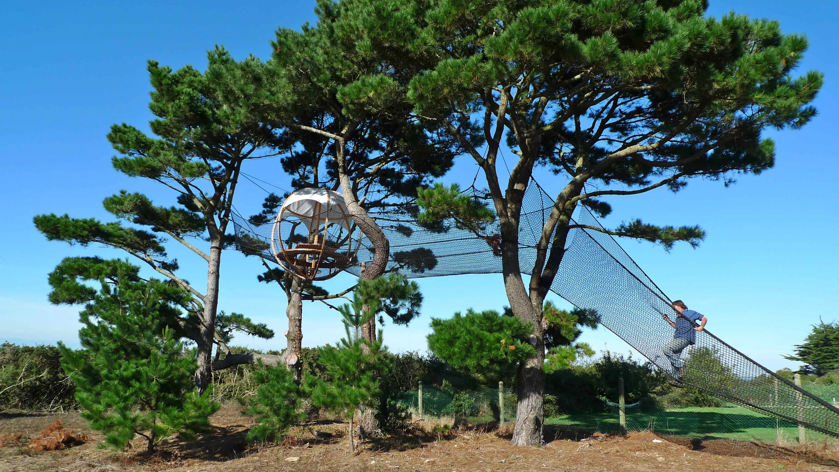Accessing the Cocoon Tree via the netting