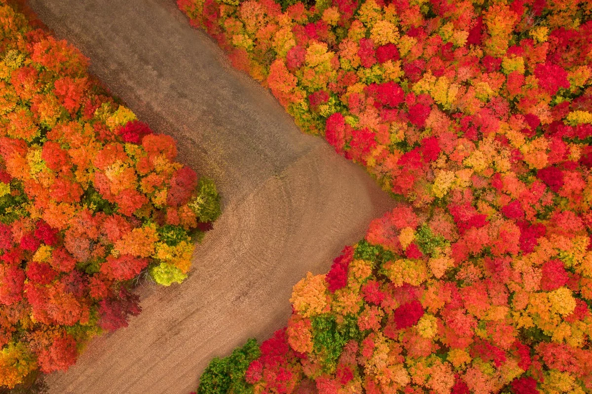 Autumn scenes in Canada