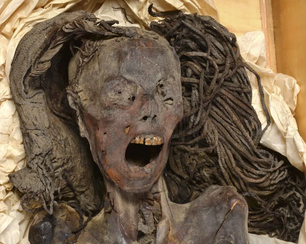 This rather confronting image of the woman was captured in Cairo in 2023