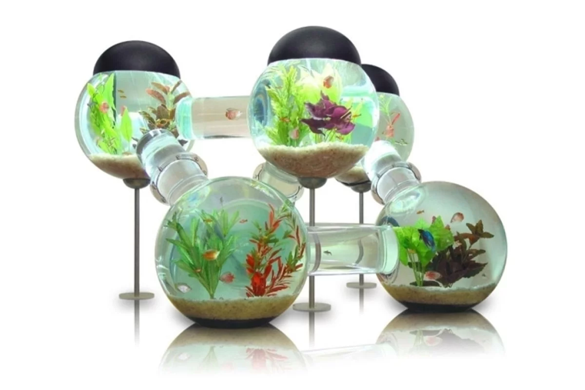 The Labyrinth Aquarium can be used with or without a stand