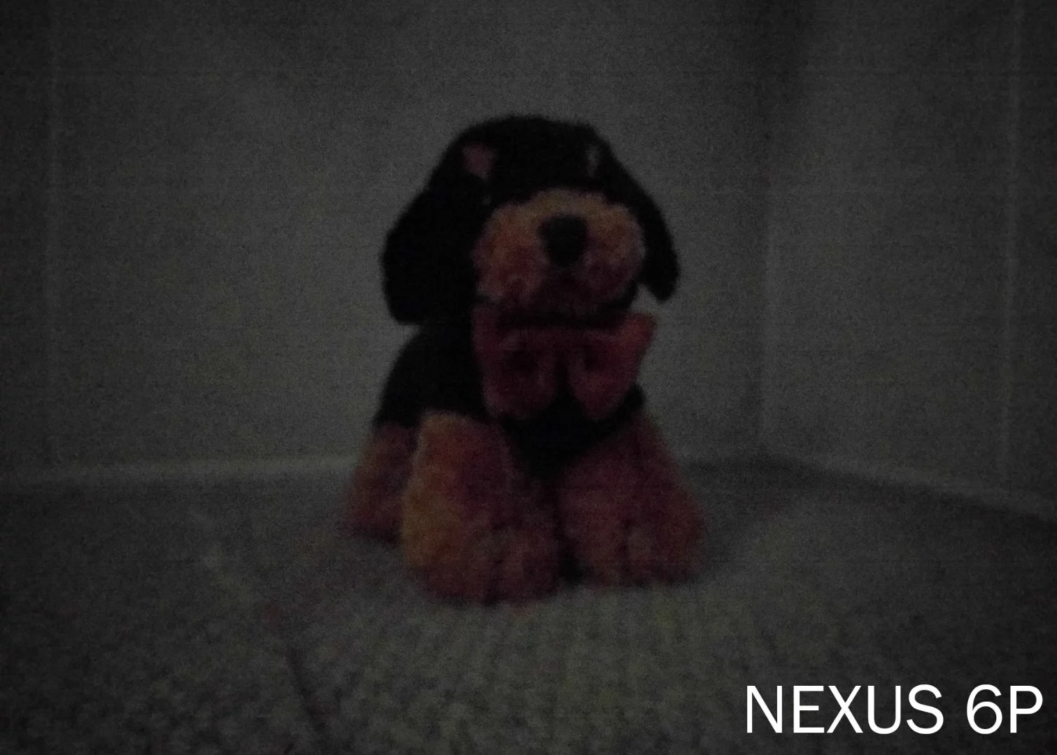 The Nexus 6P found the dimly lit dog but struggled with color and detail