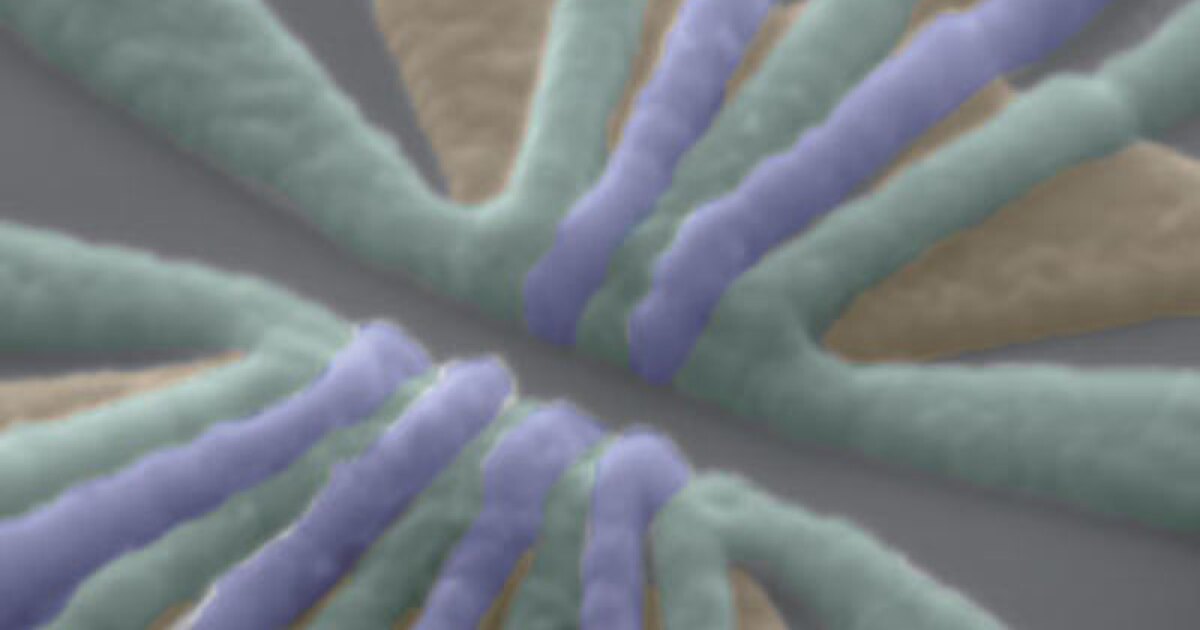 Triple entanglement in silicon marks major quantum computer breakthrough