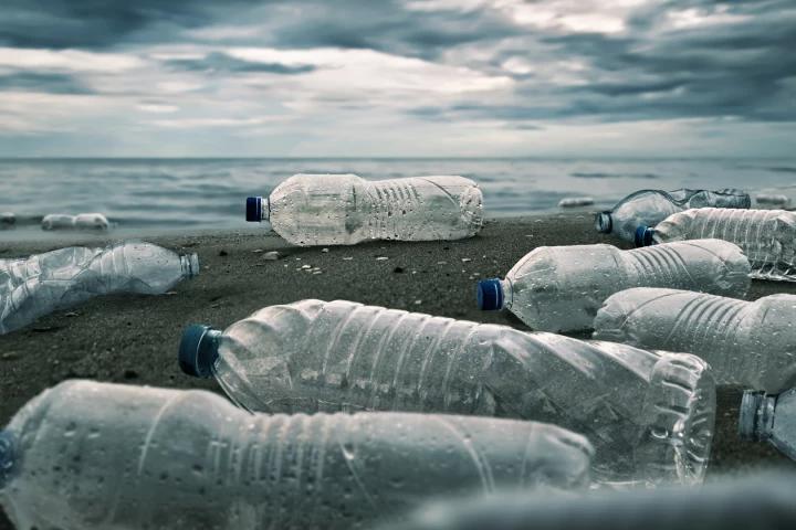 Plastic pollution is widespread across the globe, and new research shows that microbes that can break it down are evolving to match it