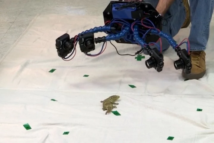 Beastcam is used on a gecko in Duncan Irschick's lab