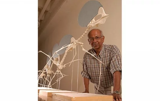 Texas Tech University paleontologist Sankar ChaterjeeImage: Texas Tech University (http://today.ttu.edu/)