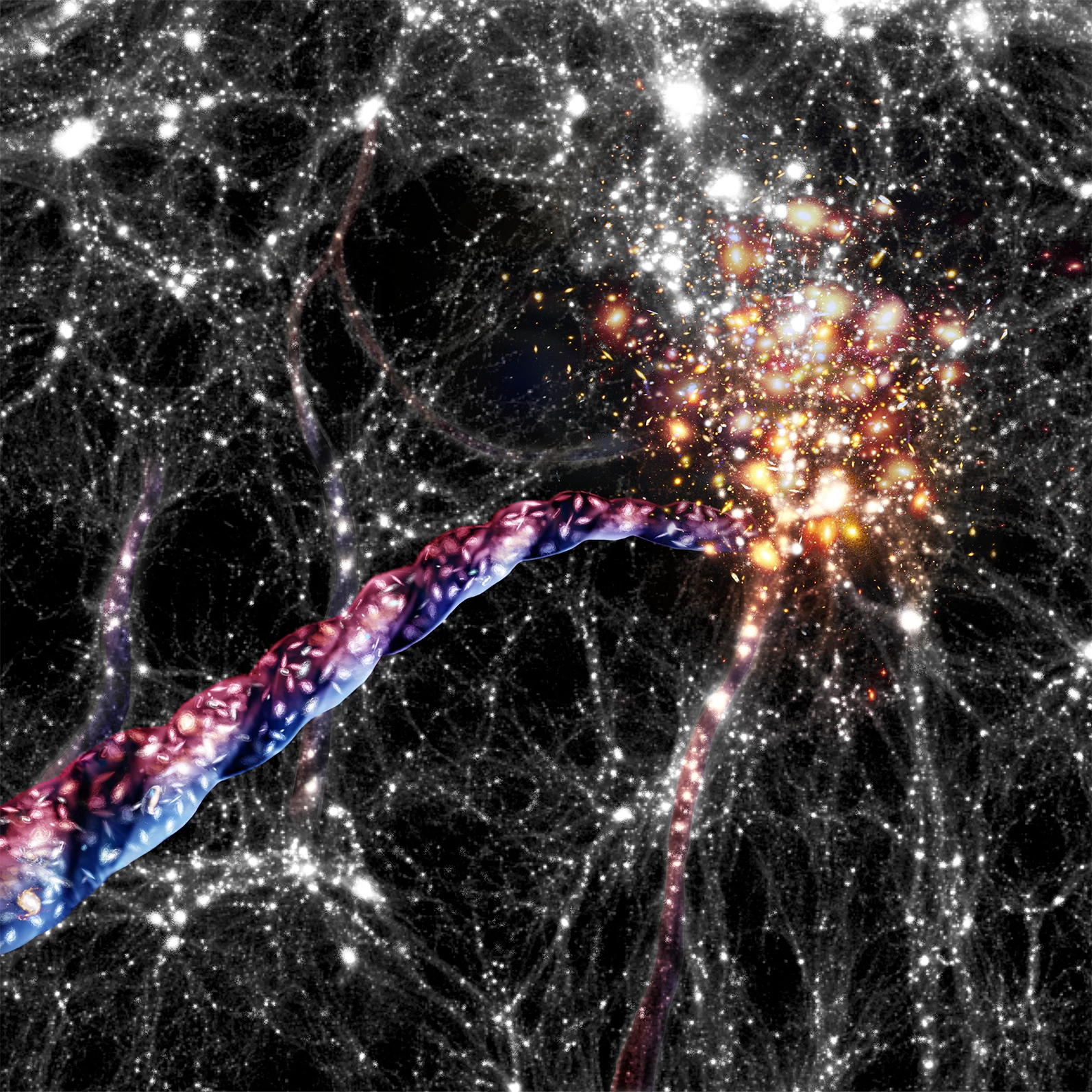 An artist's impression of cosmic filaments. Galaxies appear as bright spots inside the filaments and concentrated in clusters at the ends. Light from the top halves of the filaments was found to be red-shifted (moving away from us) while the bottoms were blue-shifted (moving towards us), indicating the filaments are spinning