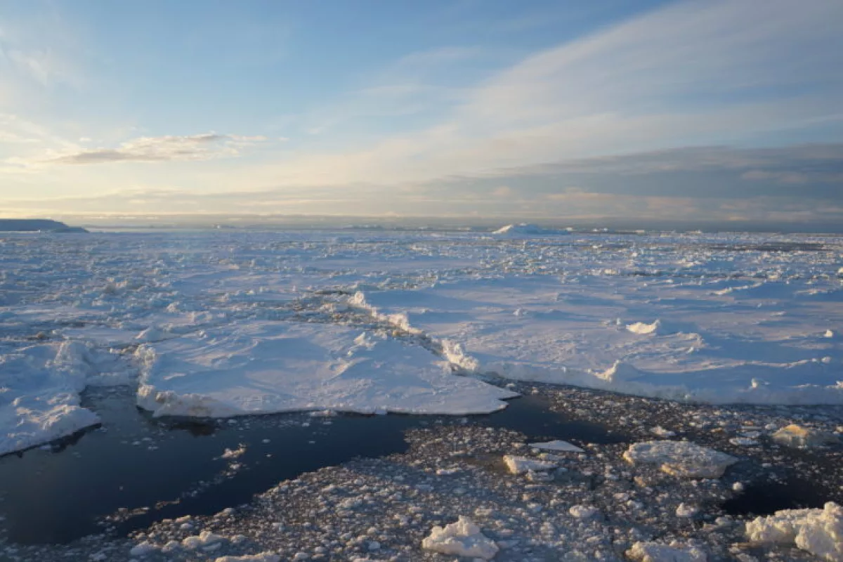 Sea ice in the Weddell Sea has reduced by one third over the last five years
