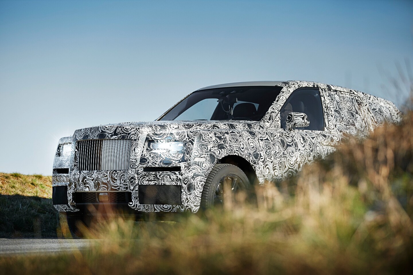 Even hiding behind a bush, Project Cullinan is big and boxy