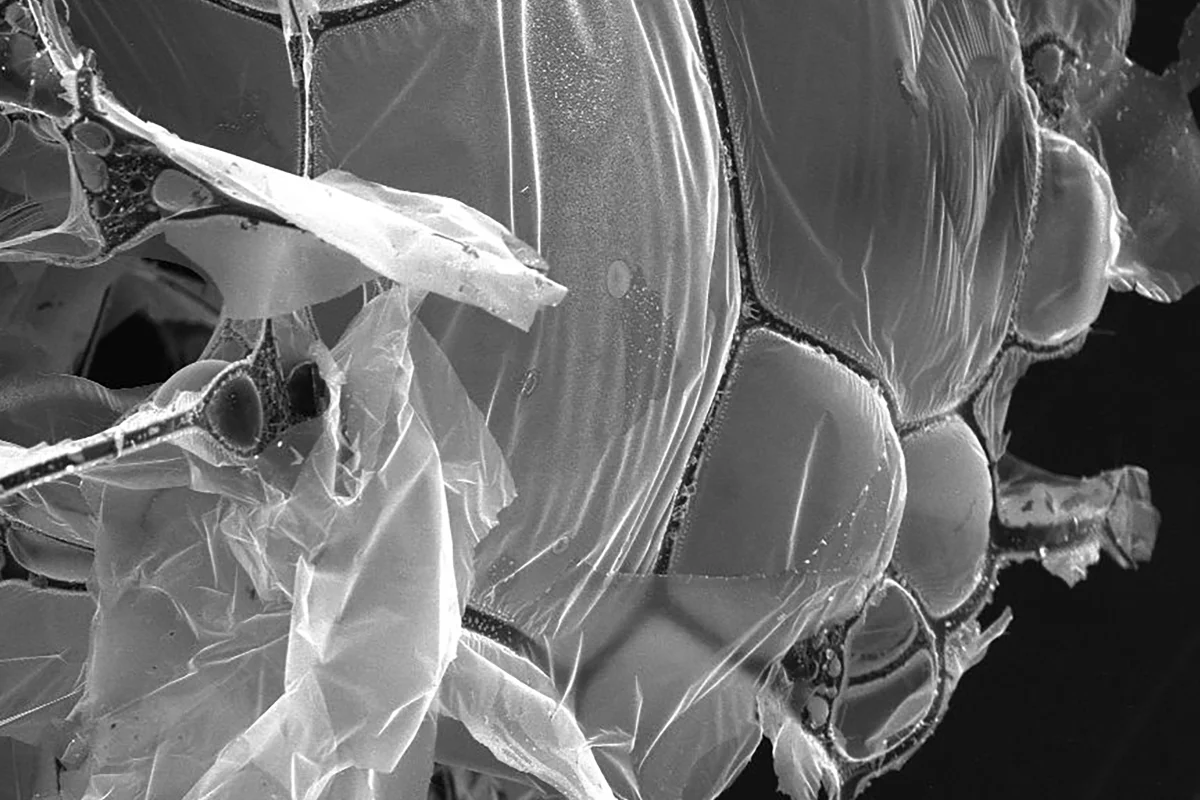 A microscope image shows how the egg-white aerogel is made up of graphene sheets stretched across carbon fiber networks