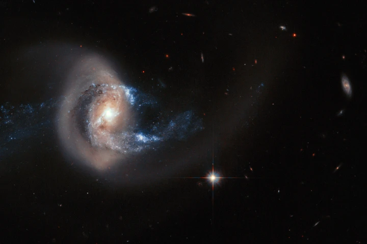 Hubble composite showing the larger galaxy NGC 7714 having its structure deformed by the neighbouring galaxy NGC 7715, out of frame (Image: ESA, NASA)
