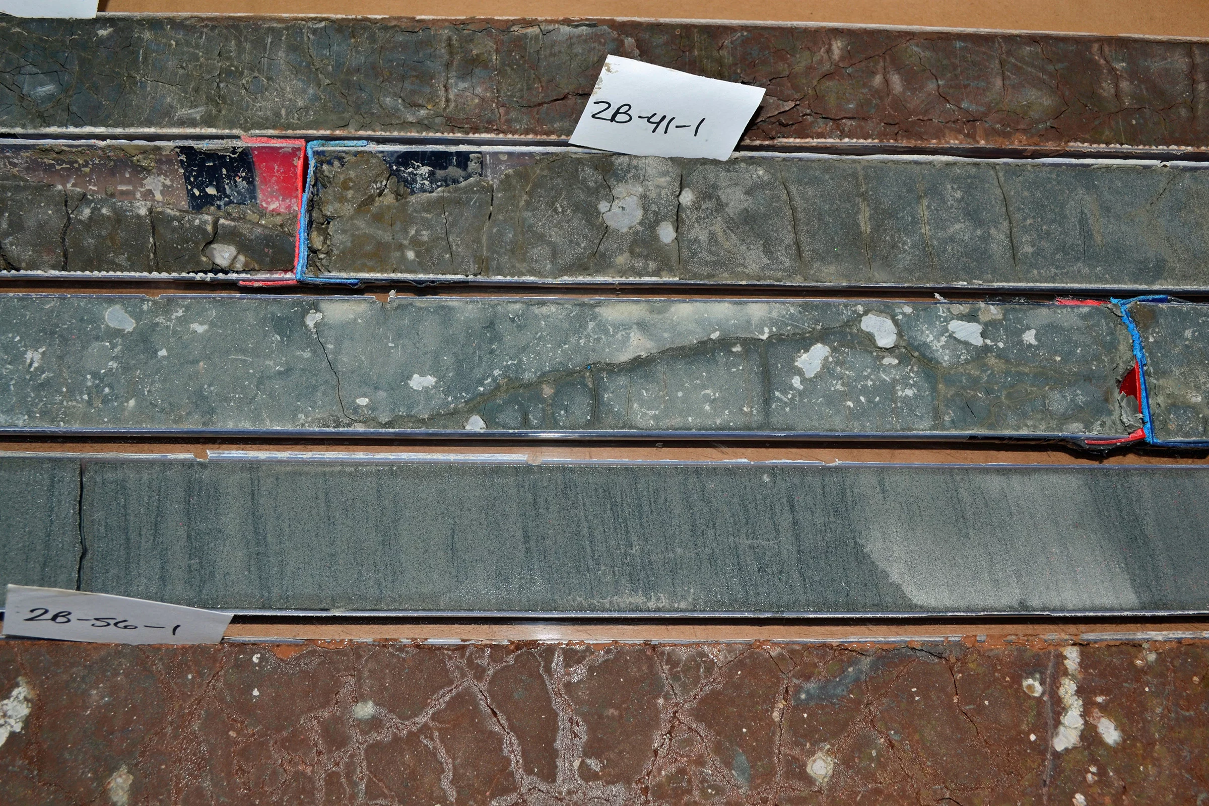 Gray, roundish nodules of carbonate or limestone in sediment cores drilled from northern Wyoming (Photo: Bianca Maibauer, University of Utah)