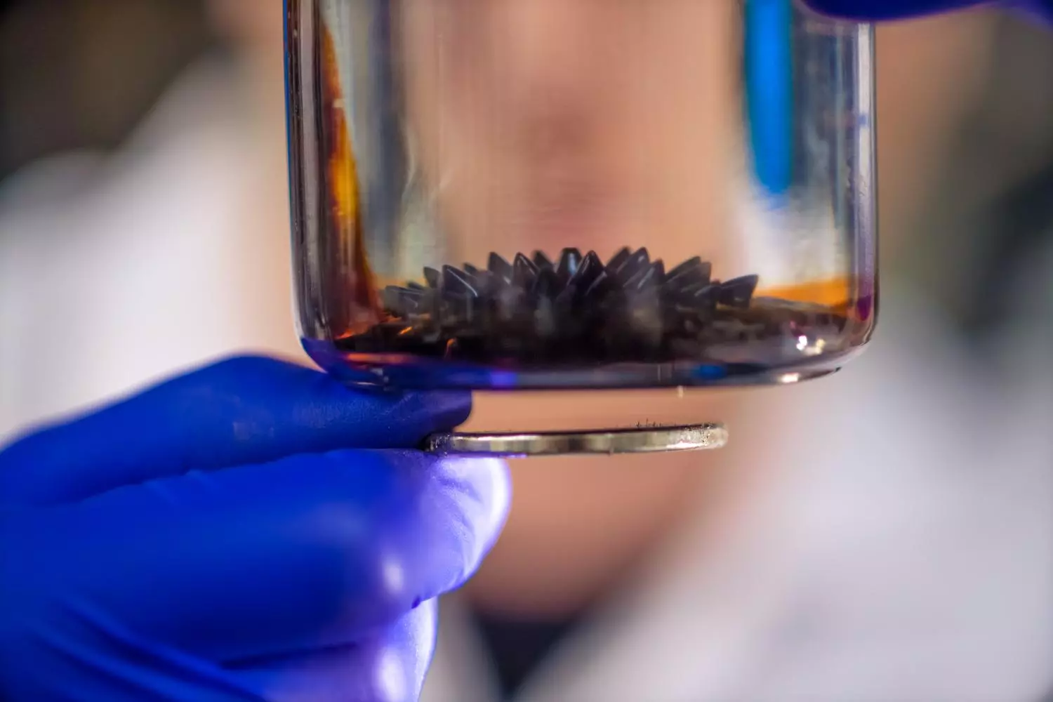 When magnetic fields are applied to ferrofluids, they can form a hedgehog-like shape