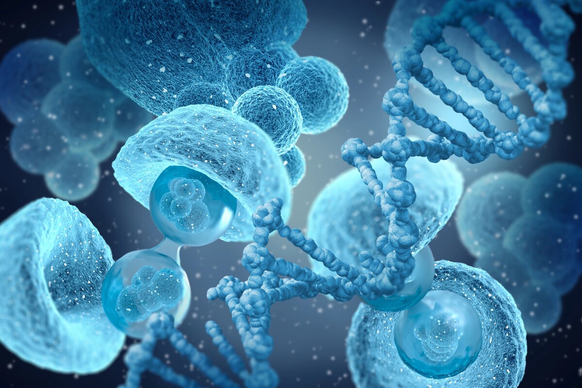 Existing drug blocks newly discovered aging and inflammation pathway