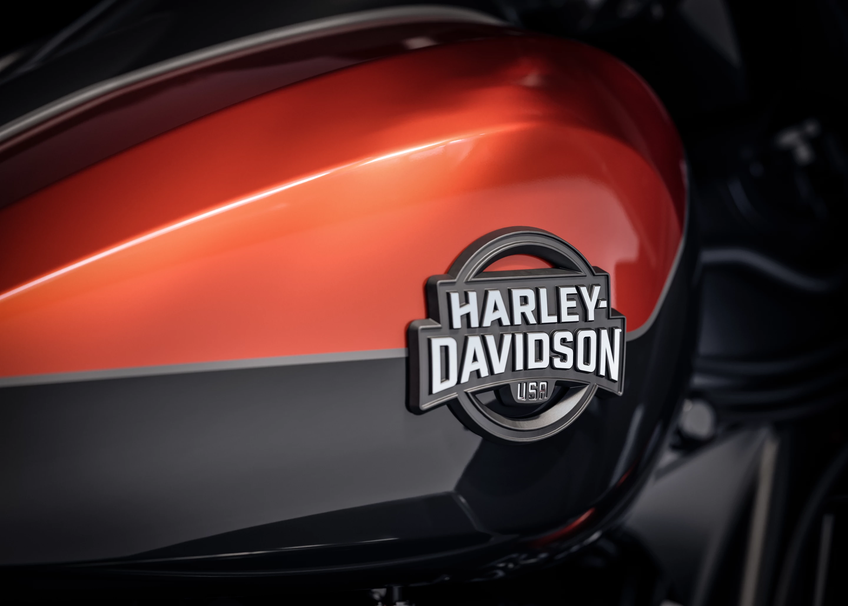 Harley-Davidson saw a 13% decline in sales in North America specifically in the final three months of 2024