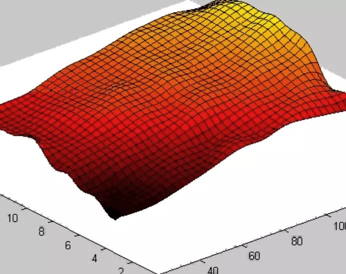 A 3D reconstruction of the top half of the bird song device vibrating (Image: