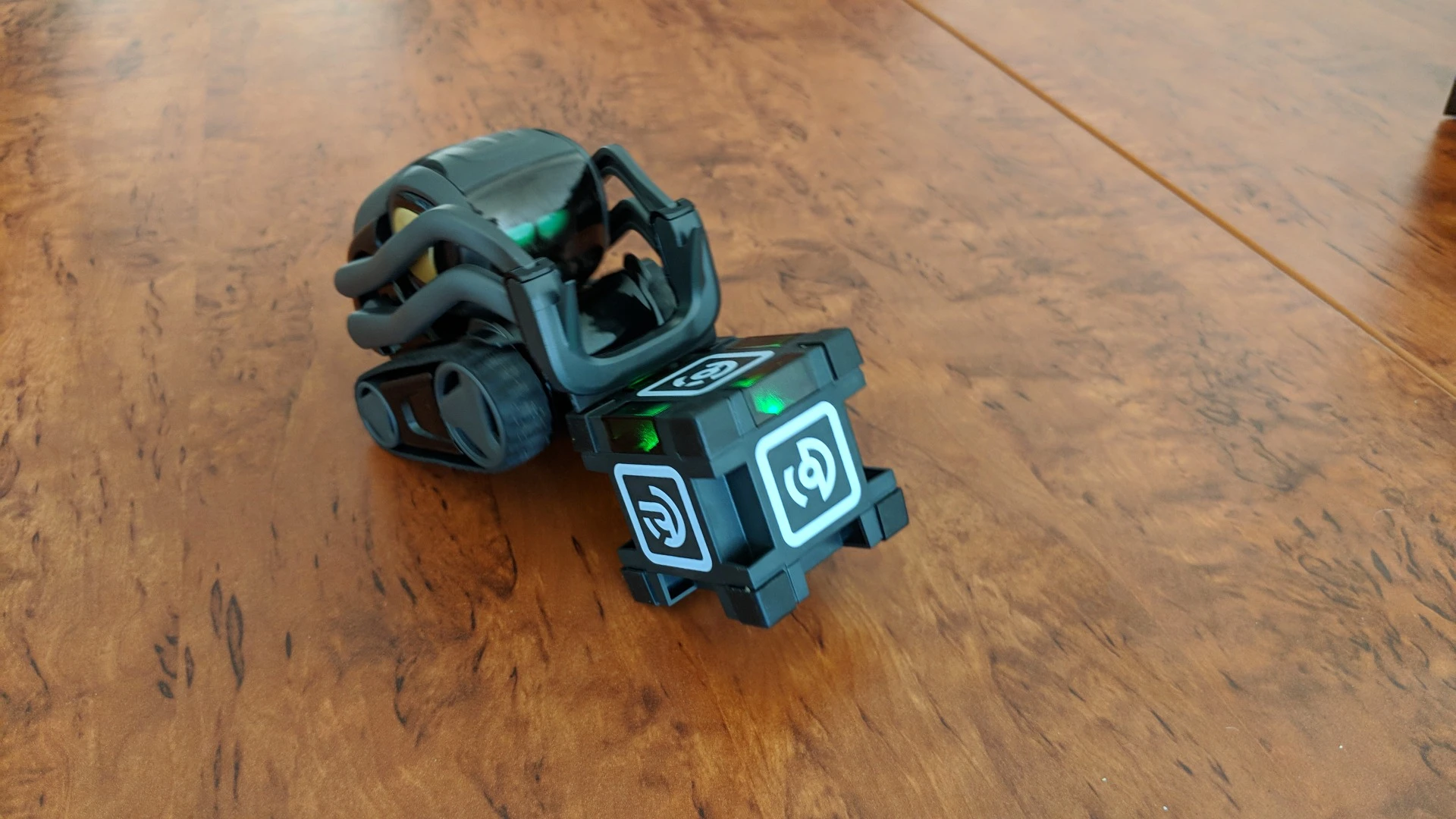 Vector rolls his cube