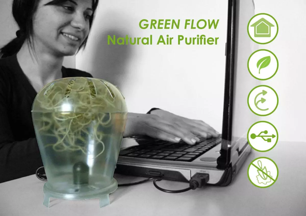 Green Flow is a natural desking air softener that uses a plant to refresh the air