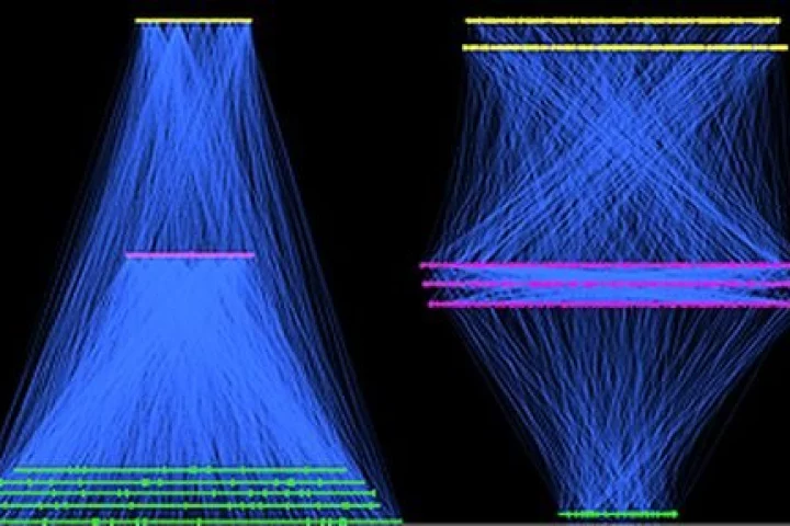 The control network of bacterium E Coli, left, and the Linux operating system, right